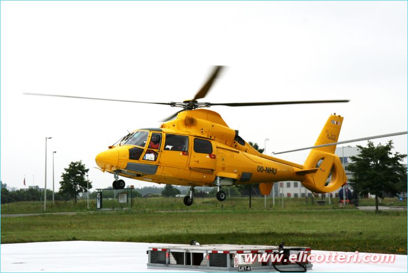 elifoto (142)